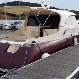 DOLPHIN 51
